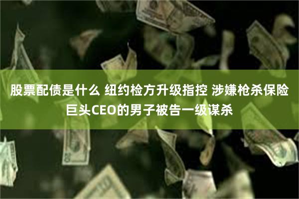 股票配债是什么 纽约检方升级指控 涉嫌枪杀保险巨头CEO的男子被告一级谋杀