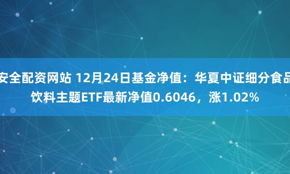 安全配资网站 12月24日基金净值：华夏中证细分食品饮料主题ETF最新净值0.6046，涨1.02%