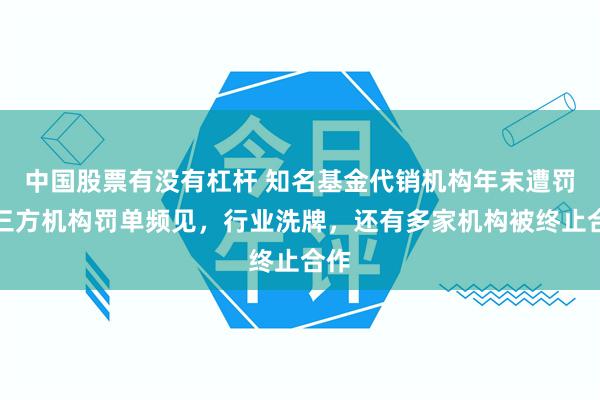 中国股票有没有杠杆 知名基金代销机构年末遭罚，三方机构罚单频见，行业洗牌，还有多家机构被终止合作