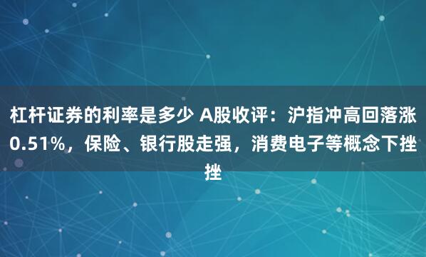 杠杆证券的利率是多少 A股收评：沪指冲高回落涨0.51%，保险、银行股走强，消费电子等概念下挫