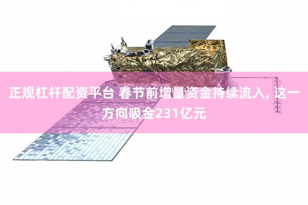 正规杠杆配资平台 春节前增量资金持续流入, 这一方向吸金231亿元