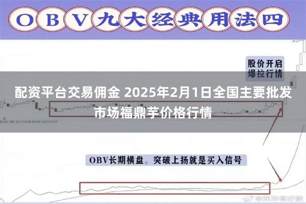 配资平台交易佣金 2025年2月1日全国主要批发市场福鼎芋价格行情