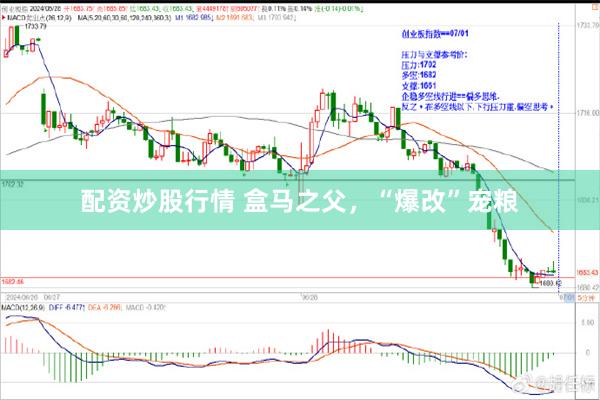 配资炒股行情 盒马之父，“爆改”宠粮